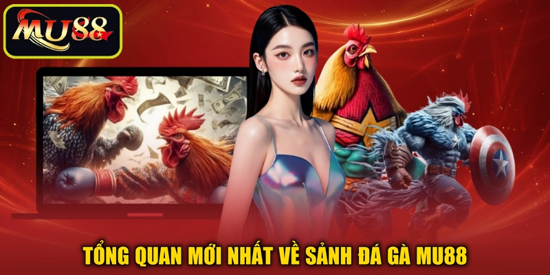 Tổng quan mới nhất về sảnh đá gà MU88